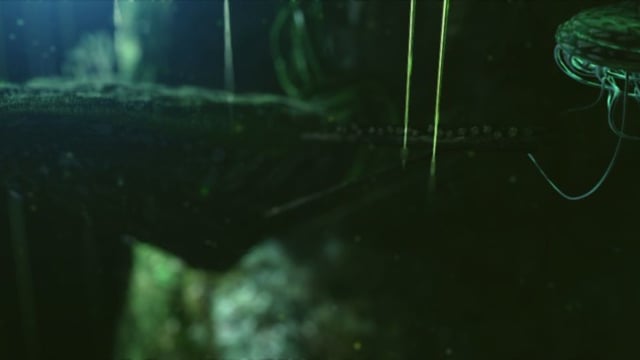 Project SAM - Motion Graphics