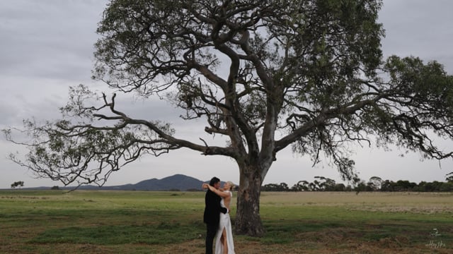 SAM + TORI