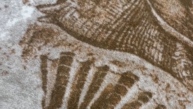 Vimeo video preview for Sandy Shore Shells Rug Collection - 1044719949
