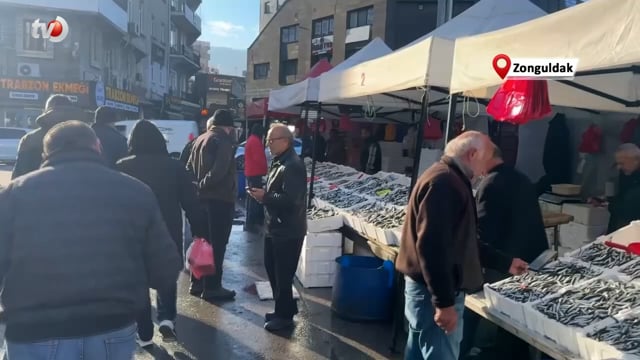 Hamsi ve İstavrit Yüz Güldürdü