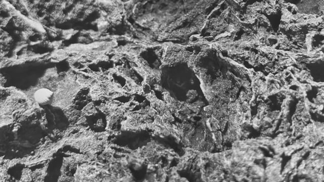 3 Seconds of Laptop EM