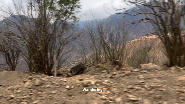 Fruit Farm (Trailer)