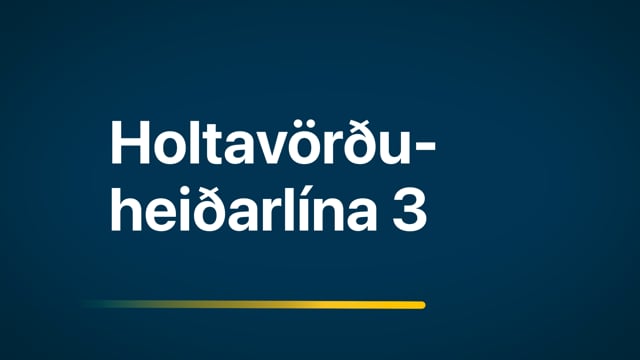 mynd sem tengist Holtavörðuheiðarlína 3