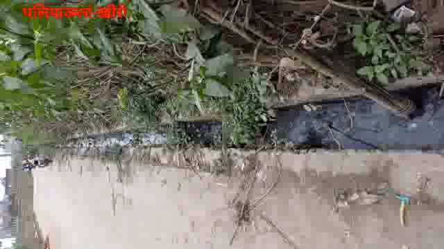 पलिया नगर की सफाई व्यवस्था ध्वस्त