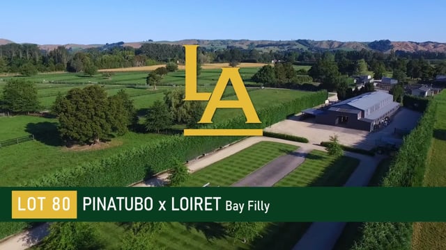 Loiret - Pinatubo