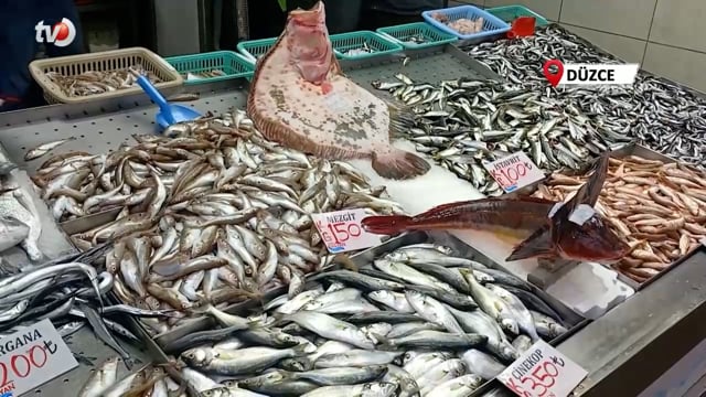 Balık Tezgahının Gözdesi Kalkan ve Kırlangıç Oldu