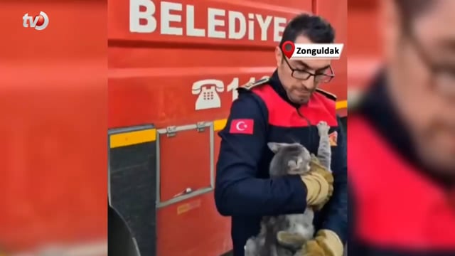 Günlerdir Ağaçta Mahsur Kalan Kedi, İtfaiyenin Çalışmasıyla Kurtarıldı