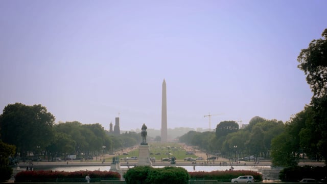 MDF 2014 Advocacy Video