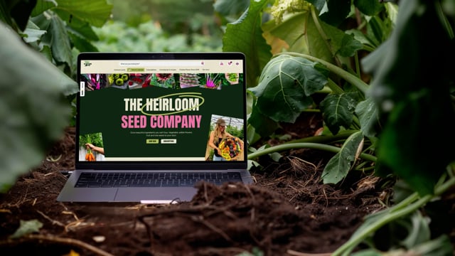 She Grows Veg x StrategiQ