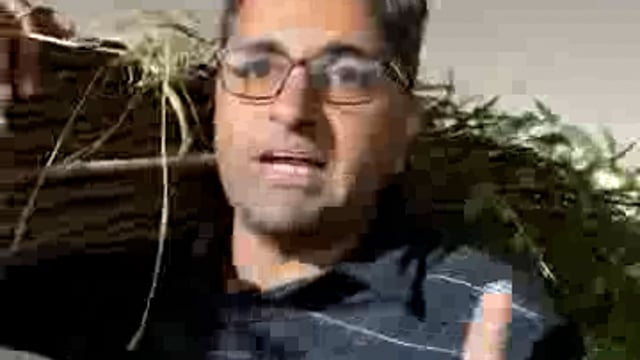 Mahakumbh Mein Naya business kar kamae Lakhon karodon Rupaiya daatun bechkar Rajasthan se kar Mein Aaya Danton Bechne Prayagraj Mahakumbh mein