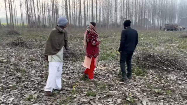 बुग्गावाला विधवा महिला को मिला न्याय! पुलिस और प्रशासन ने कटवाए विवादित पेड़ 