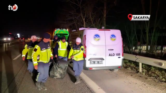 Otoyolda Feci Ölüm Bir Kişinin Parçalanmış Cesedi Bulundu