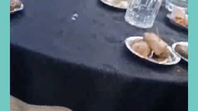 मथुरा में गोवर्धन चौराहे के समीप एक निजी होटल में रहीशजादो ने अश्लीलता का लगाया बाजार