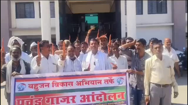 बहुजन विकास अभियानाचे प्रशासनाविरोधात तहसील कार्यालया समोर गाजर आंदोलन