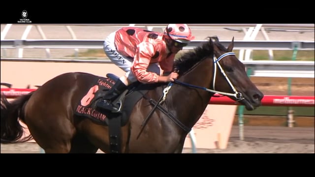 Black Caviar Lightning Race Day