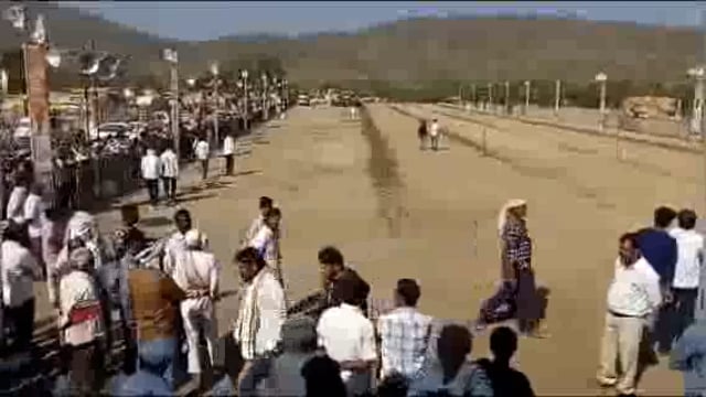 प्रहारच्या जंगी शंकरपटाचा थाटात शुभारंभ,प्रेक्षकांची एकच गर्दी,तीन दिवस रंगणार जुगलबंदी