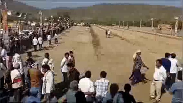 प्रहारच्या जंगी शंकरपटाचा थाटात शुभारंभ,प्रेक्षकांची एकच गर्दी,तीन दिवस रंगणार जुगलबंदी