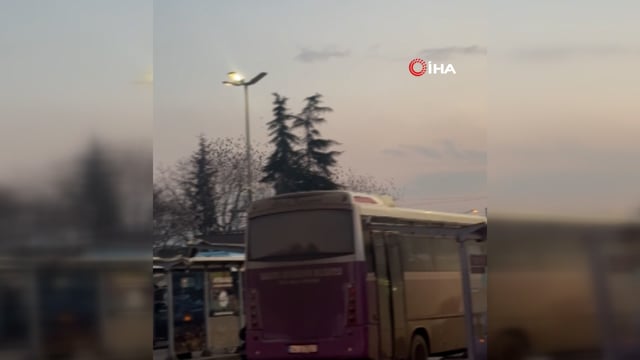  Sığırcık kuşlarının gökyüzündeki dansı mest etti