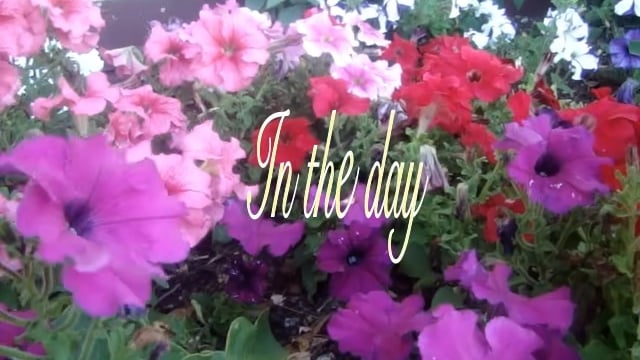 In the day title preview