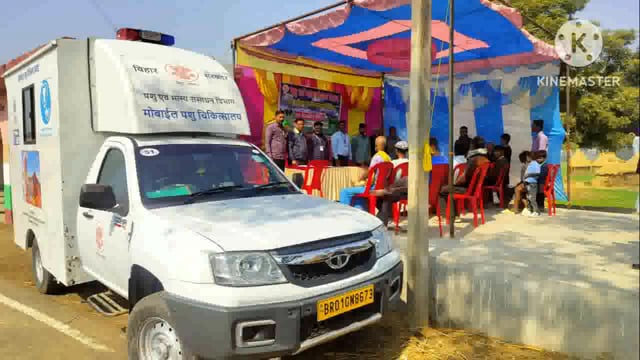 पशु बांझपन शिविर का किया गया आयोजन दी गई दवाइयां