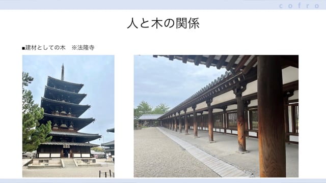 木について学ぼう