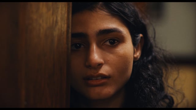 Dandelion_Trailer