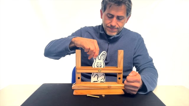 Video Melting Rabbit