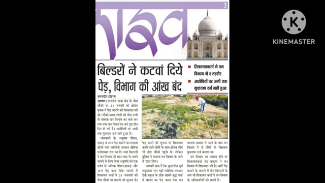 थाना ताजगंज क्षेत्र के तोहरा चौकी का मामला 31 जनवरी को काटे गए वृक्ष