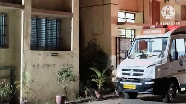 विटा शहरात हादरले तब्बल ४० जणांवर पिसाळलेल्या कुत्र्याचा हल्ला; नागरिकांच्या मध्ये प्रचंड दहशतीचे वातावरण