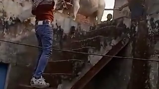 मकान की दो मंजिला छत पर चढ़ा सेंड लोगों में मचाहड़कंप