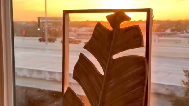 Vimeo video preview for Sunbleached Palms Wall Hangings - 1053462382