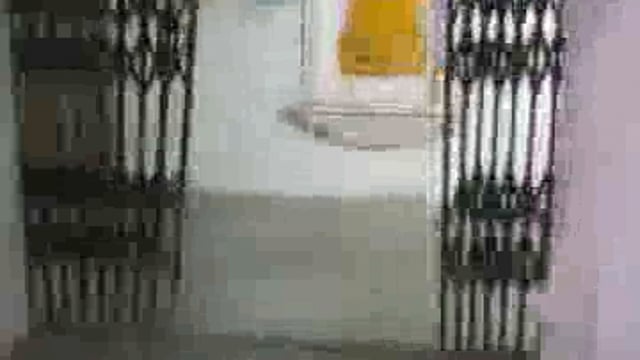 झांसी जिला चिकित्सालय अस्पताल में कुत्तों का आतंक बच्चा वार्ड में बेड पर आराम फरमा रहे कुत्ते अस्पताल की लापरवाही सामने 