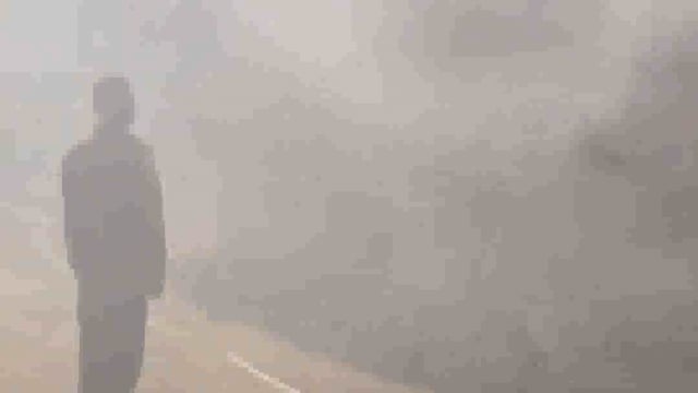 विक्रम के वृंदावन कॉलोनी में धान के पुआल में लगी आग