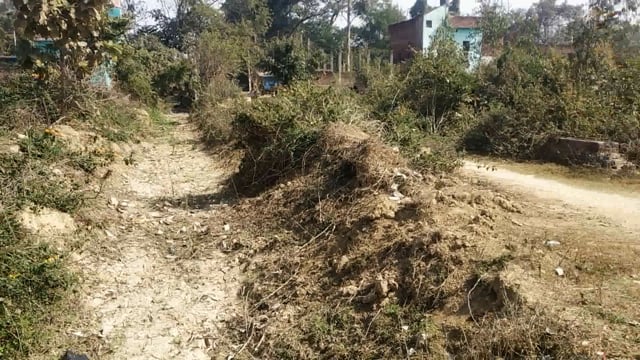 नहर मे पानी न आने से गेहूं की फसलें सूख रही है किसान कम पैदावार को लेकर चिंतित हैं 