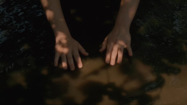 through the roots - Trailer