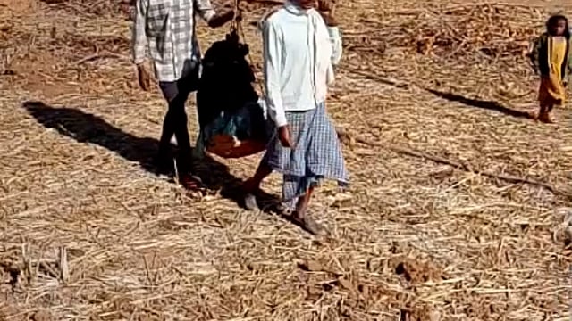 बलरामपुर  फिर सुर्खियों मे, गर्भवती महिला को झेलगी में ले जाते का वीडियो वायरल#13 