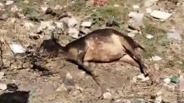 घर में लगी आग संपत्ति जलकर राख 