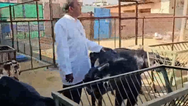 कस्बा फरह में खुला आइंस्टीन वैज्ञानिक बकरी फार्मिंग शिक्षण केंद्र