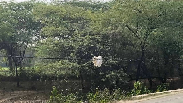 मिहोना बिजली विभाग कि बड़ी लापरवाही सामने आई कभी भी हो सकता है बड़ा हादसा महिनो से झूल रही है केवल 4से5 फिट ऊंचाई पर 