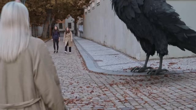 Náhled pro video reference