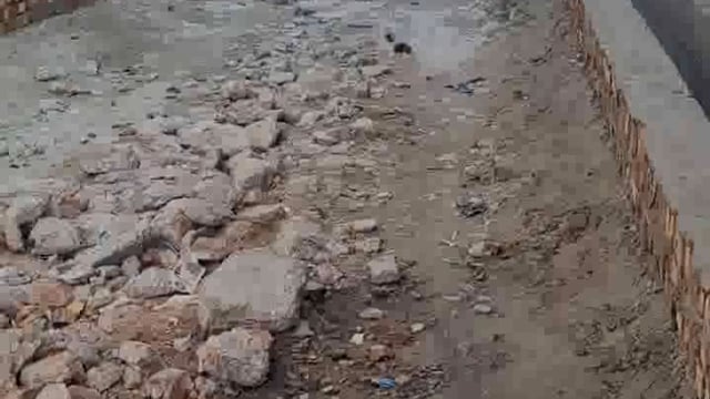 पलिया में पालिका प्रशासन की मिलीभगत से सड़क निर्माण‌ में हो रहा घोटाला