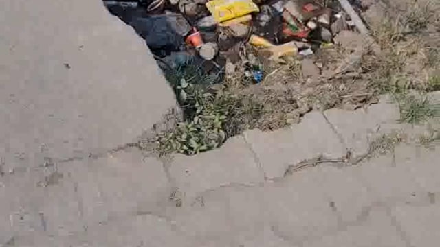 स्कूली बच्चों एवं अस्पताल जाने वाले मरीजों पर भारी पड़ सकती है पालिका प्रशासन की लापरवाही