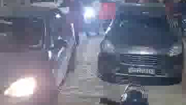 पलिया नगर में घुसा बाघ, लोगों में दहशत, आधा घंटा जाम रहा रास्ता 