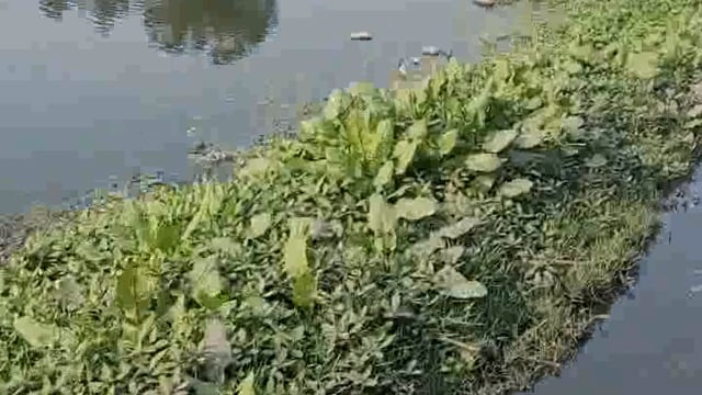 ग्राम प्रधान और पालिकाध्यक्ष की लापरवाही से टेहरावासी परेशान