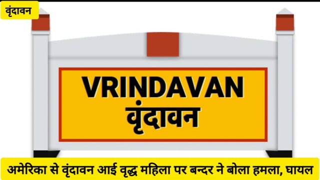 अमेरिका से वृंदावन आई वृद्ध महिला पर बंदरों का हमला,घायल, नगर निगम अधिकारी और जन प्रतिनिधियों के खिलाफ दी तहरीर...