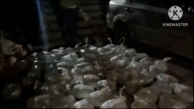 पुलिस ने विधि विरुद्ध तीन बालक को किया निरुध भेजा न्यायालय