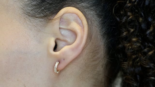 Brooklyn Baguette Huggies - Video