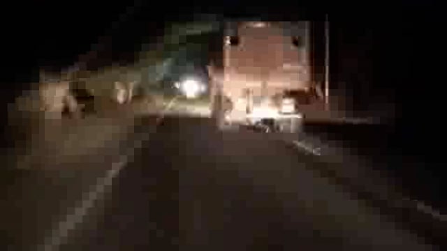 पिनाहट।डम्फर ने बाइक को पांच किमी तक घसीटा,3 की मोत