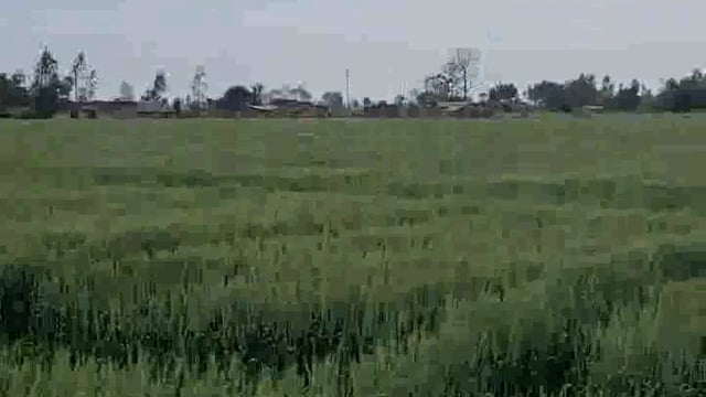 मौसम का मिजाज बदलते ही किसान हुए परेशान