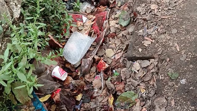 Barabanki ke gram pakriyapur mein nahin a Raha hai Kai hafton se Safai karmi gandi padi nali